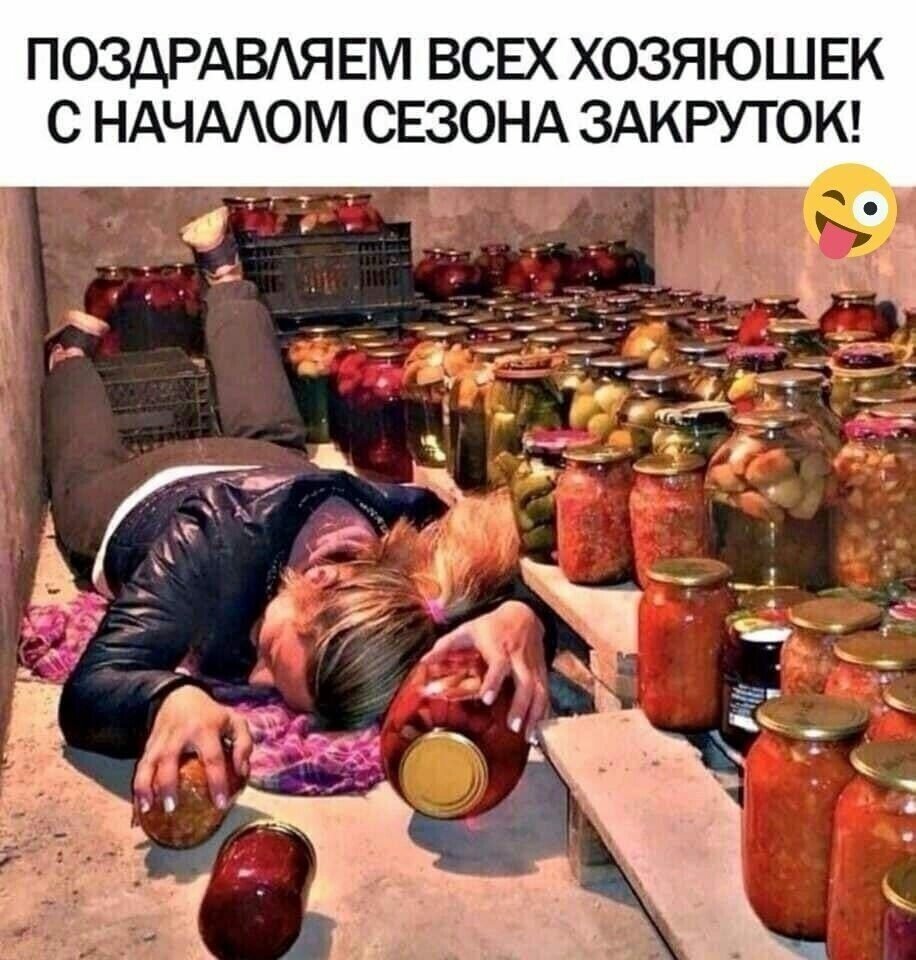 Заготовки на зиму юмор