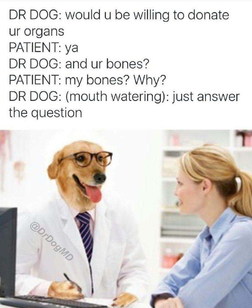 Шутки про ветеринарных врачей