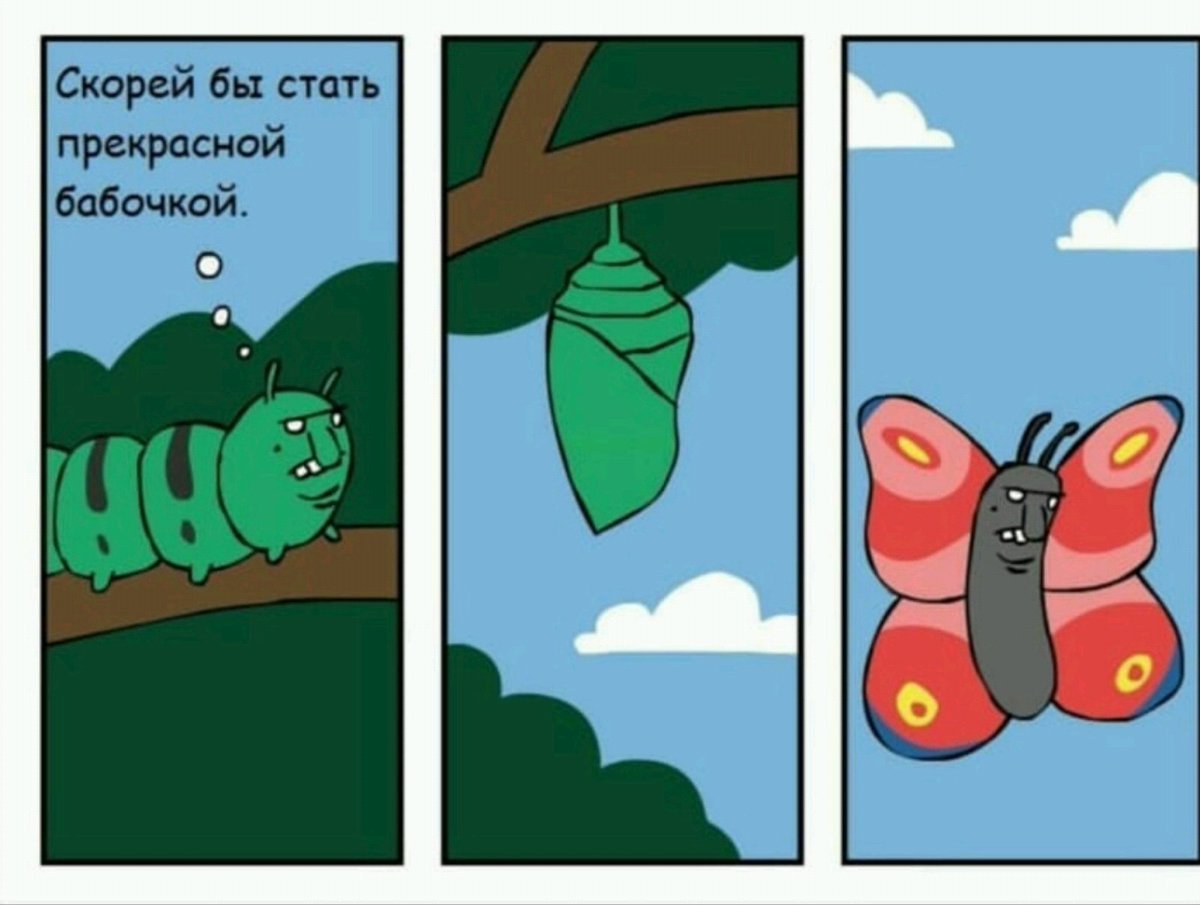 Комикс про бабочку и гусеницу