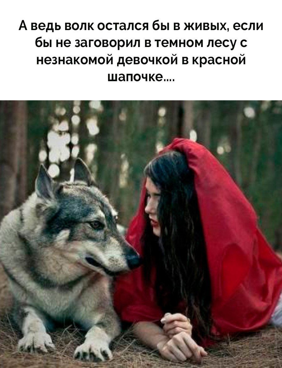 Красная шапочка встреча с волком