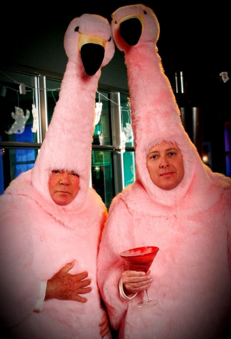 Юристы Бостона костюмы Фламинго