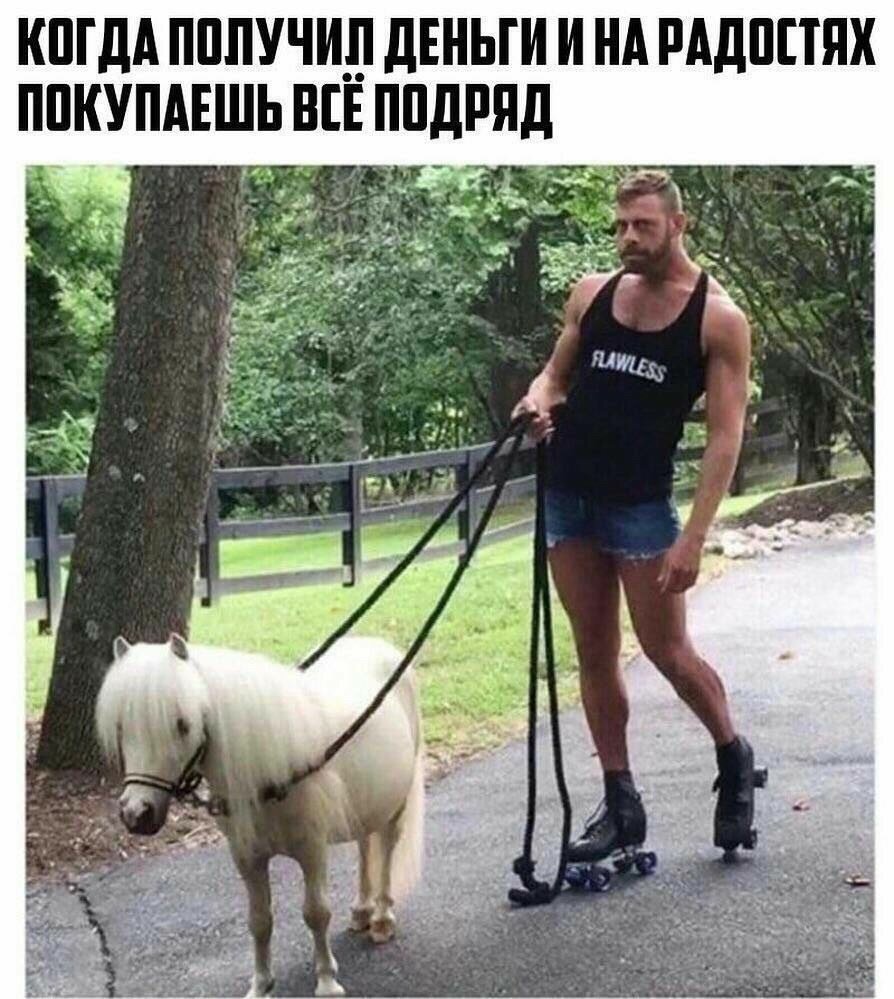 Принц на белом коне прикол