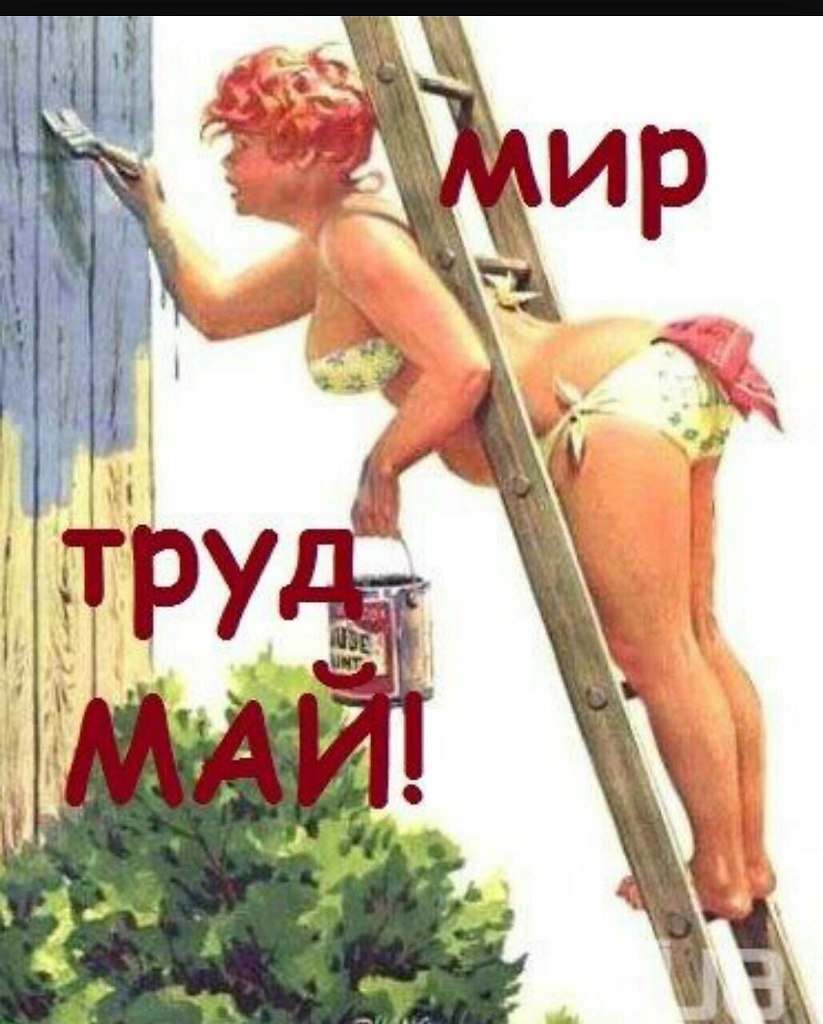 1 Мая смешные картинки