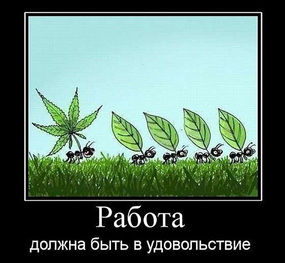 Работа должна быть в удовольствие