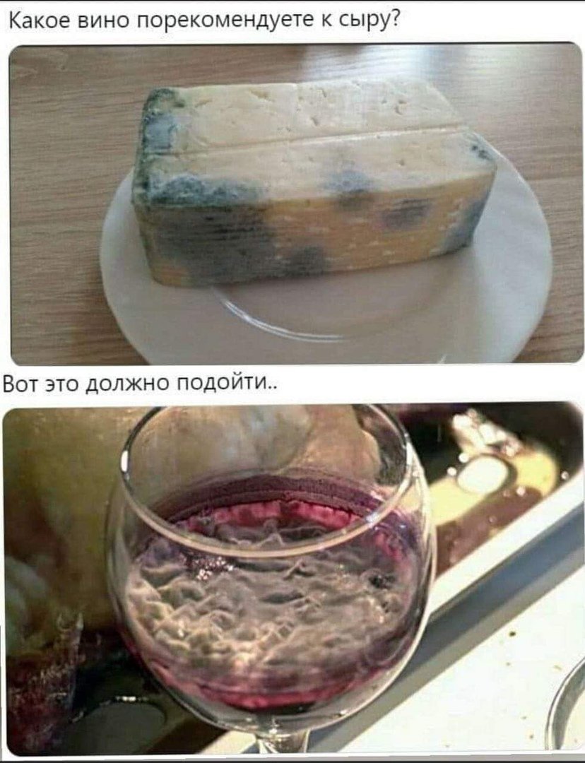 Вино с сыром с плесенью