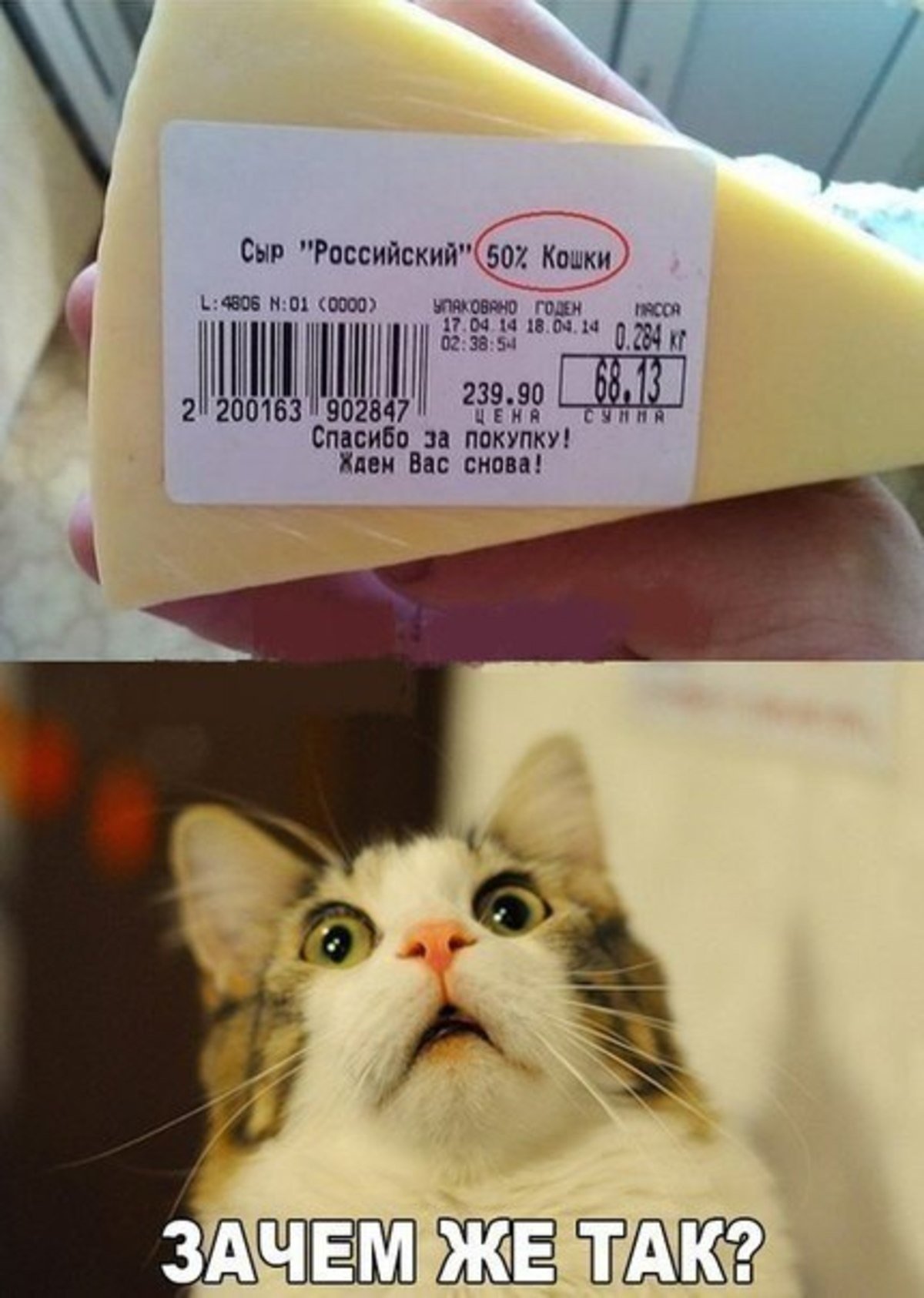 Сыр смешно