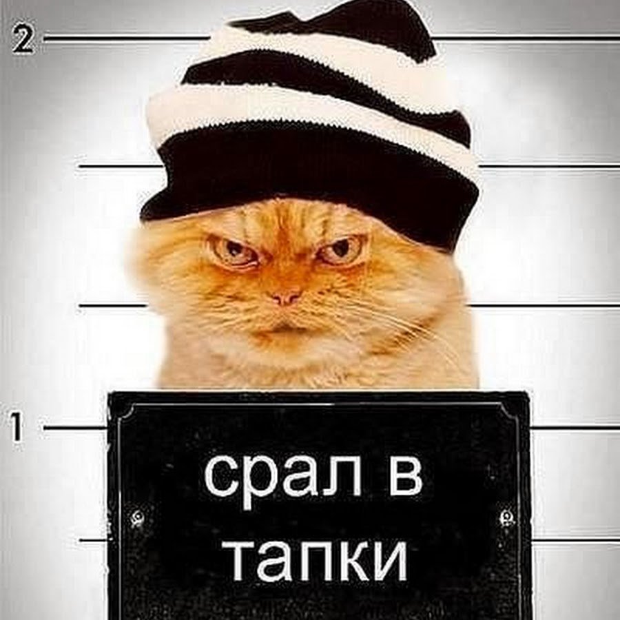 Гадил в тапки