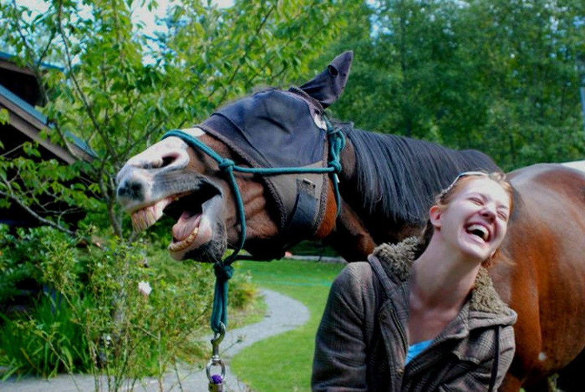 Лошадь с девушкой смеется