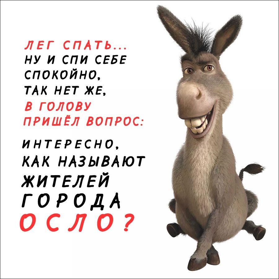 Высказывание про ослов