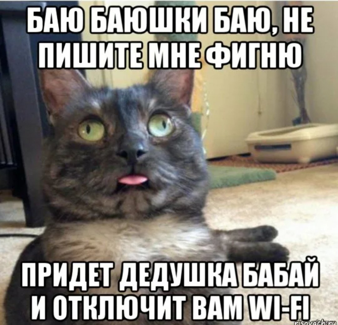 Сделай пожалуйста русский. Мемы с котами. Мемы про котов. Мемы с котами и надписями. Мемы про письма счастья.