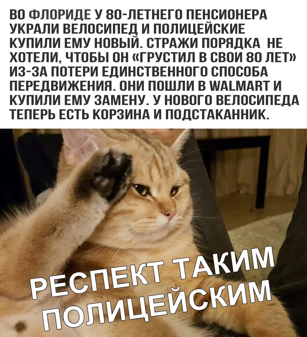 Мемы с текстом