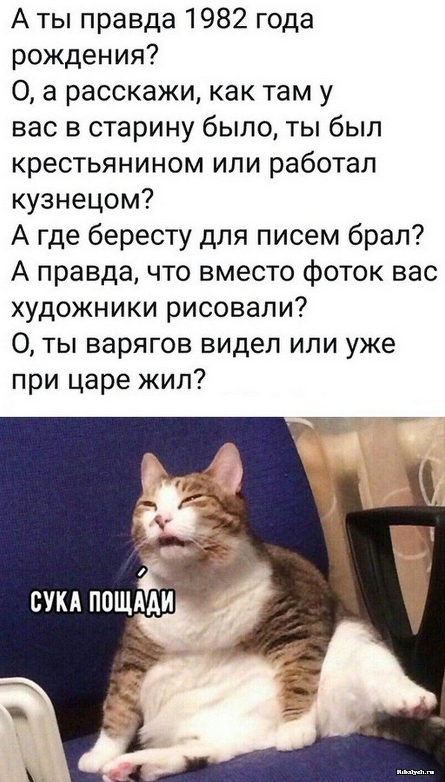 Смешные тексты