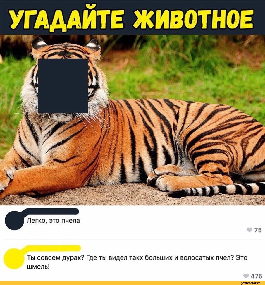 Угадай животное Мем