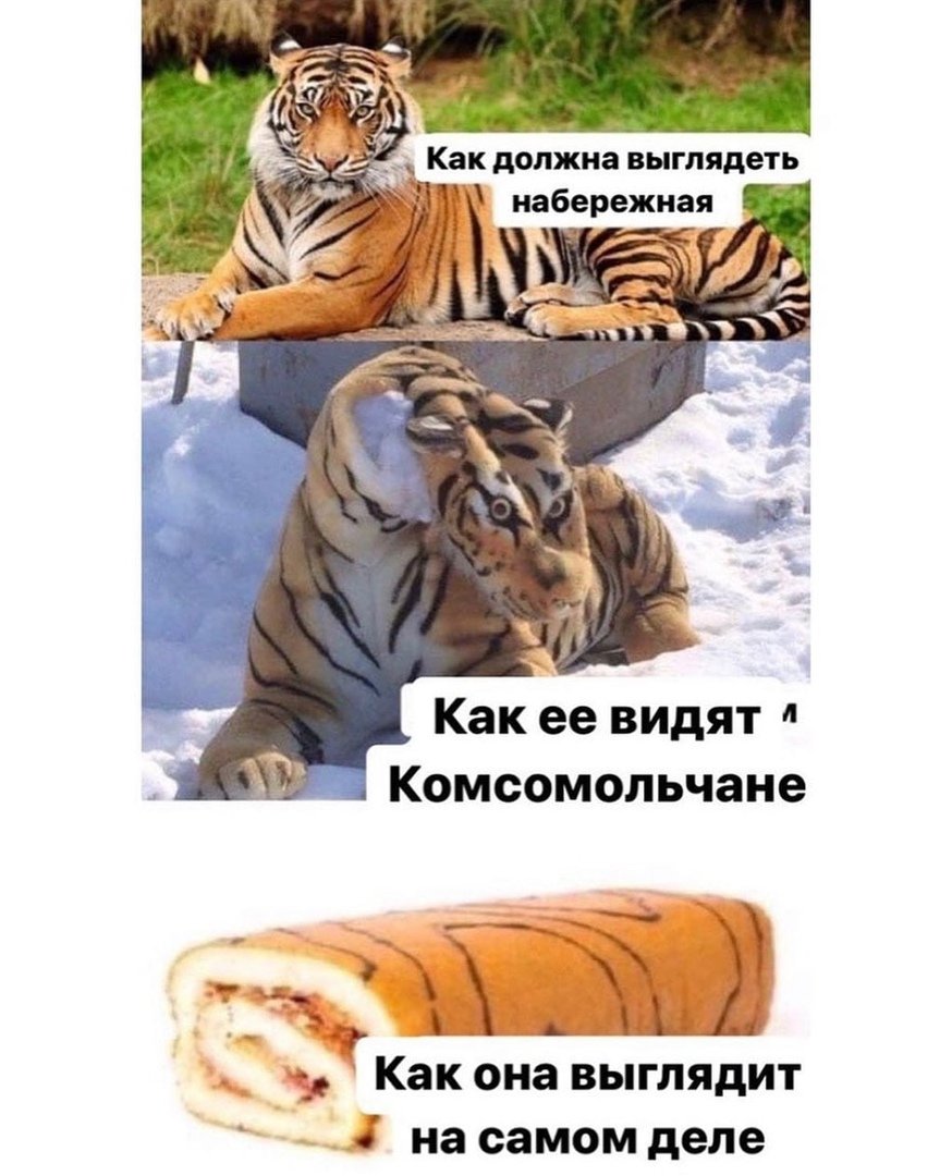Тигр рулет Мем