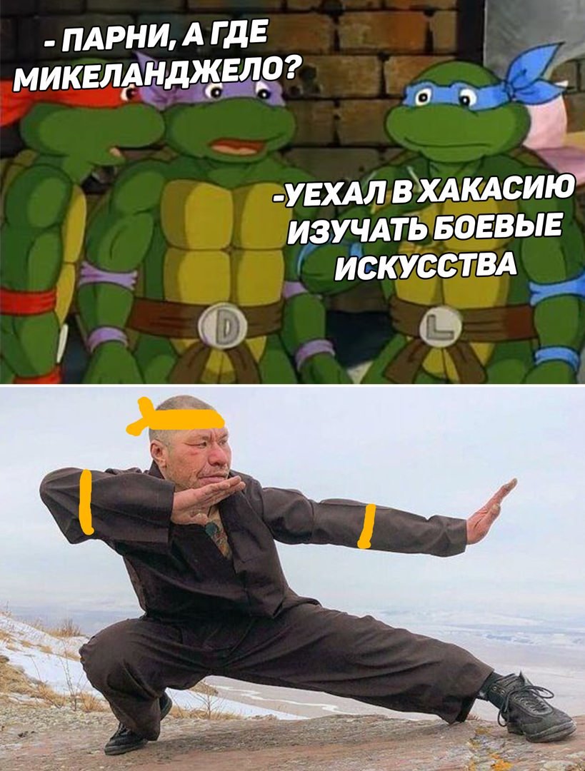 Черепашки ниндзя мемы