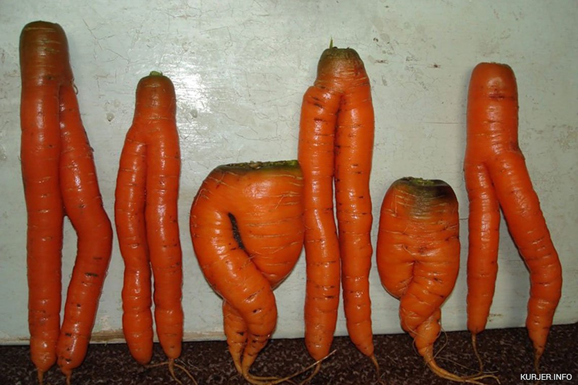 Морковь необычной формы
