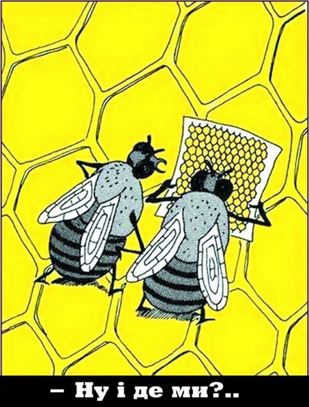 Пчелы прикол смешные
