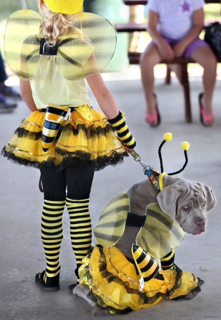 Смешной костюм пчелы