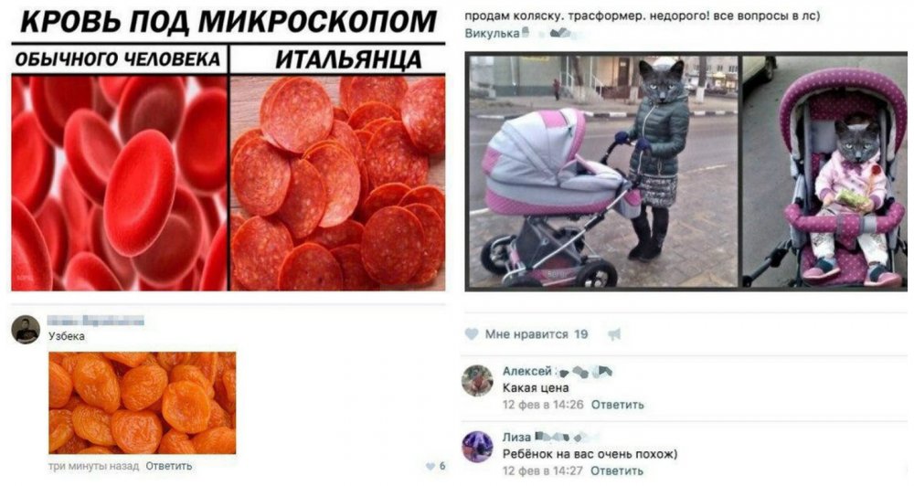 Кошка в коляске прикол