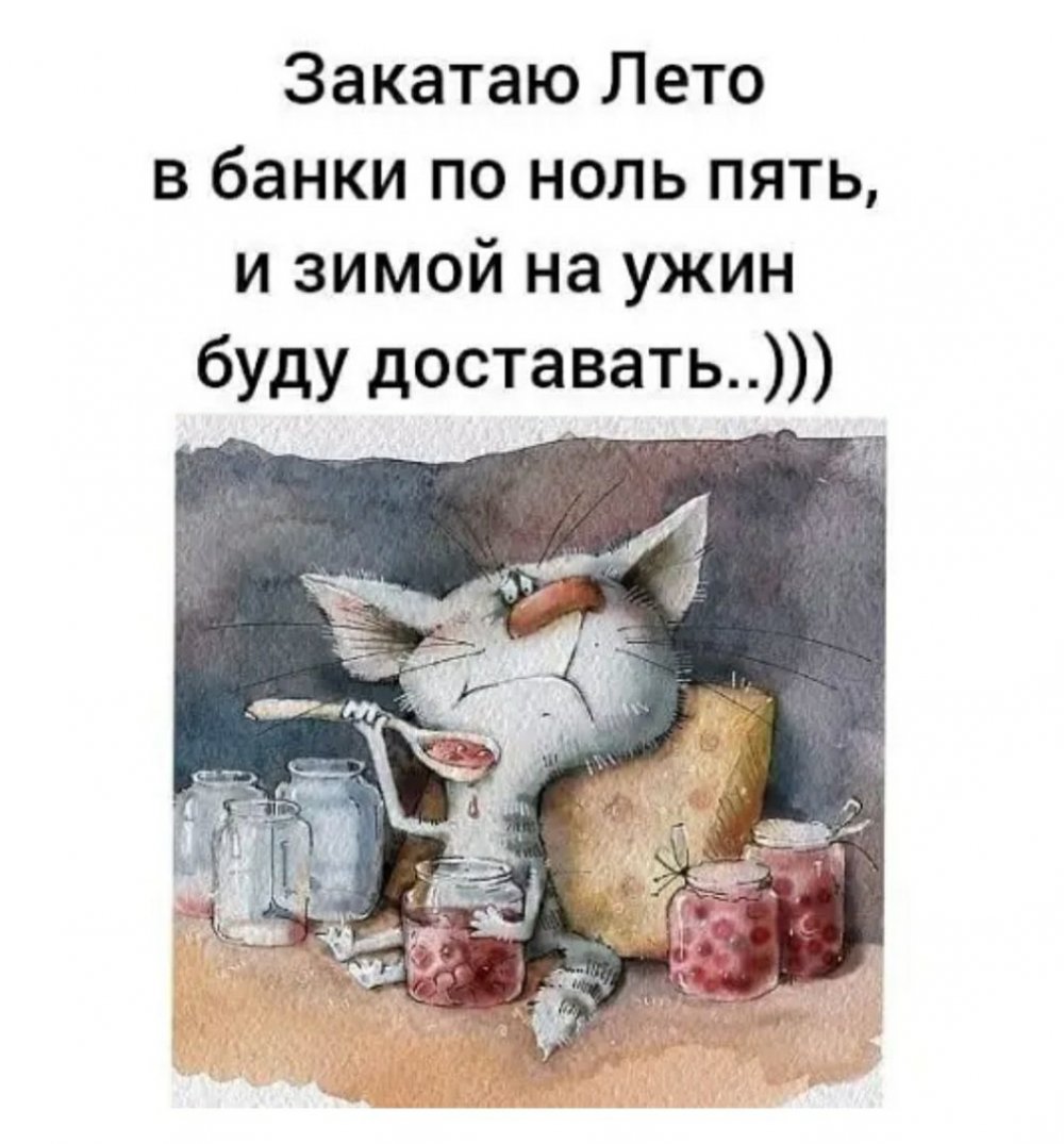 Лето в банках стих