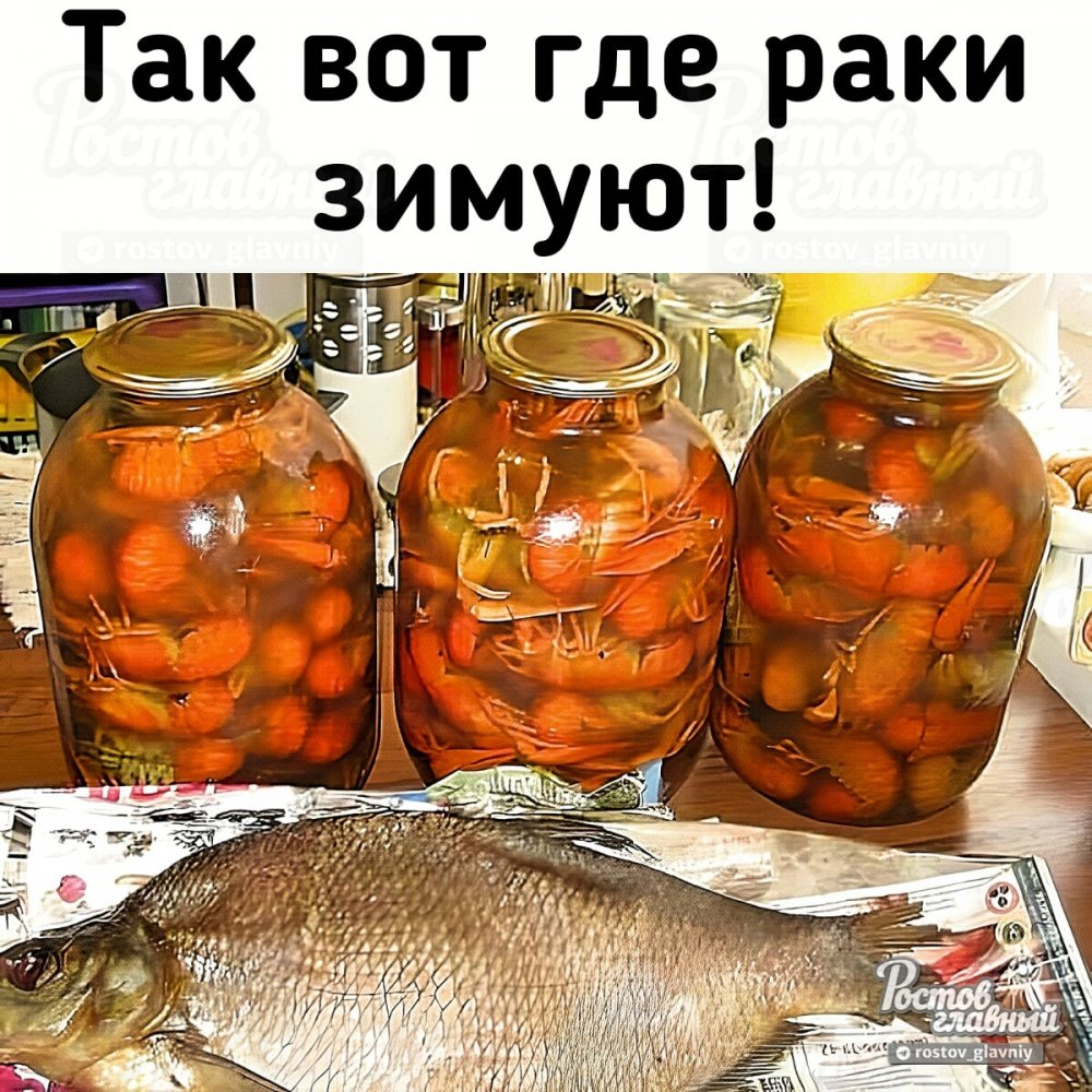 Шутки про заготовки на зиму