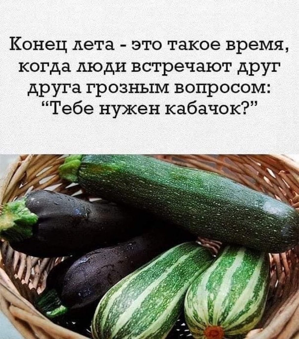 Приколы про кабачки