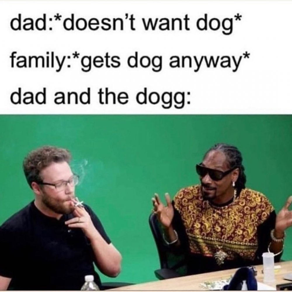 Dad: *doesn't want Dog* Family: *gets Dog anyway* dad and the Dog: