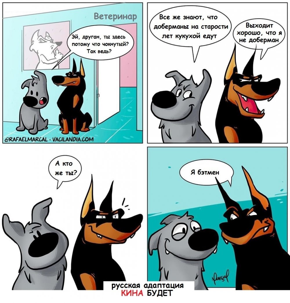 Мемы про ветеринаров