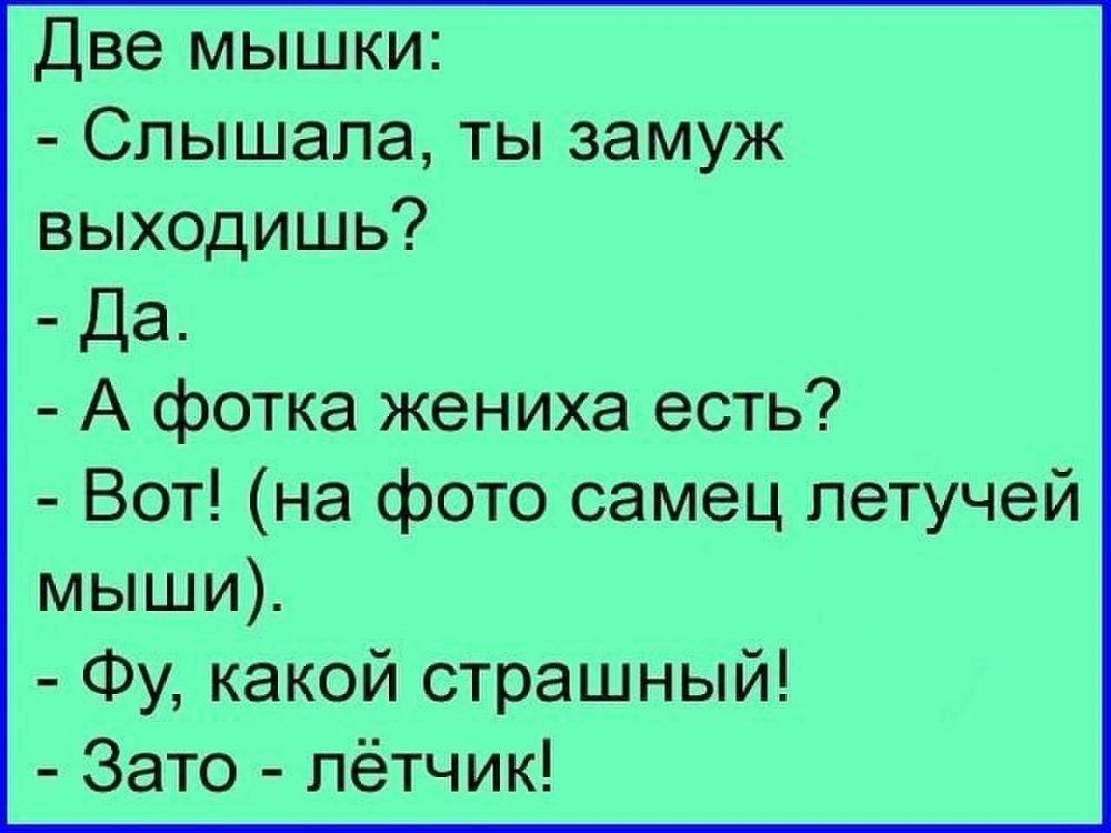 Смешные анекдоты