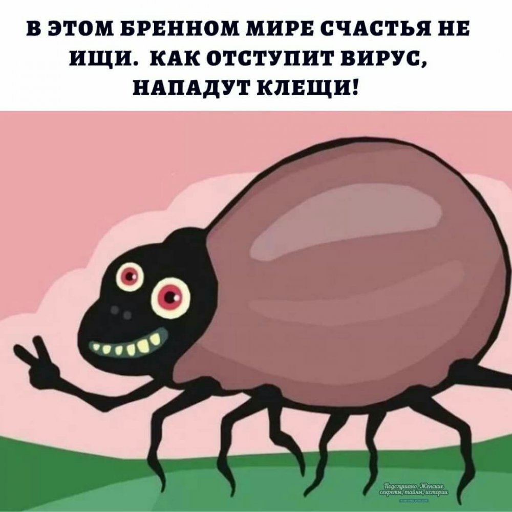 Веселый клещ