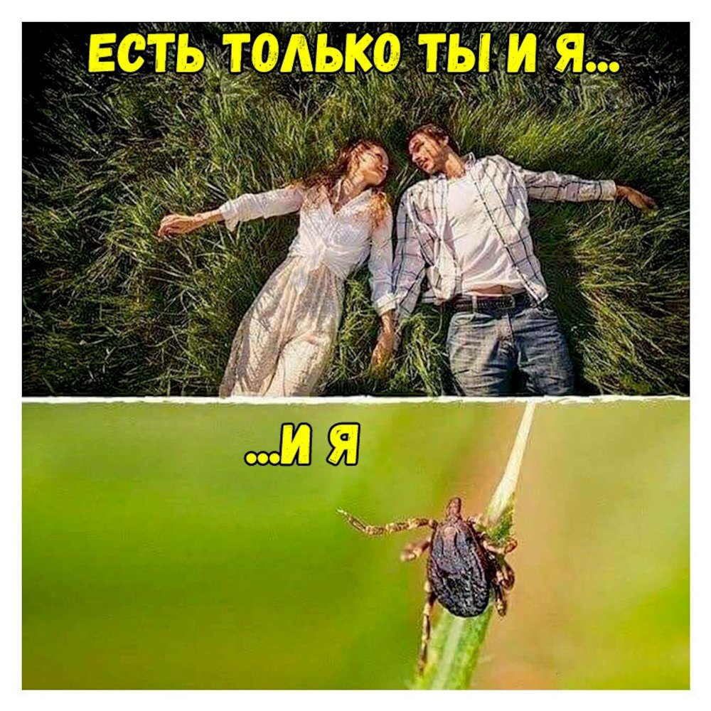 Есть только ты и я и я