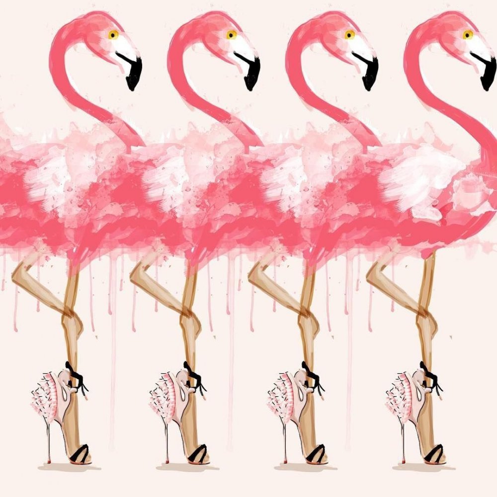 Танец Фламинго