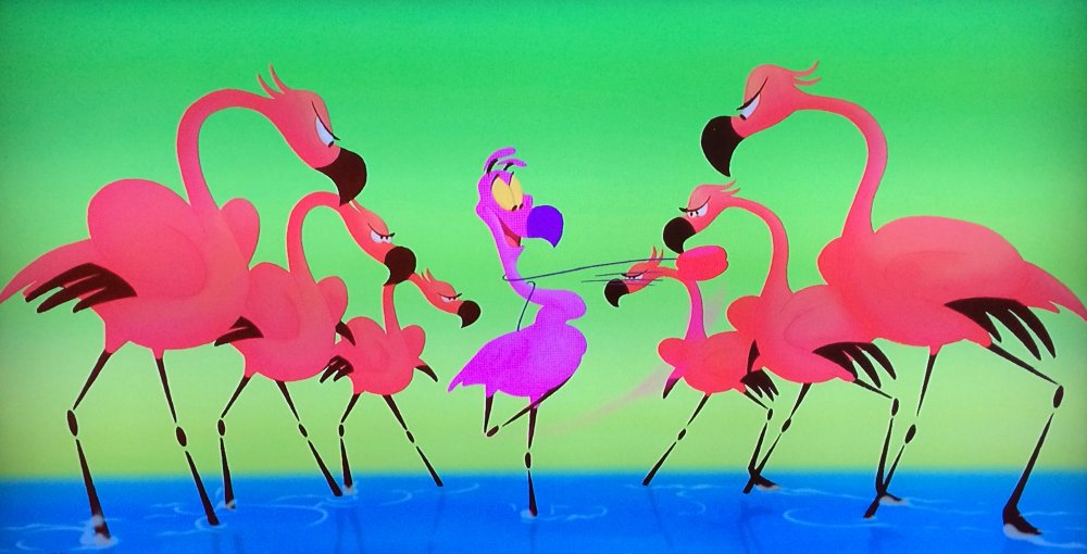 Мультфильмы про Фламинго