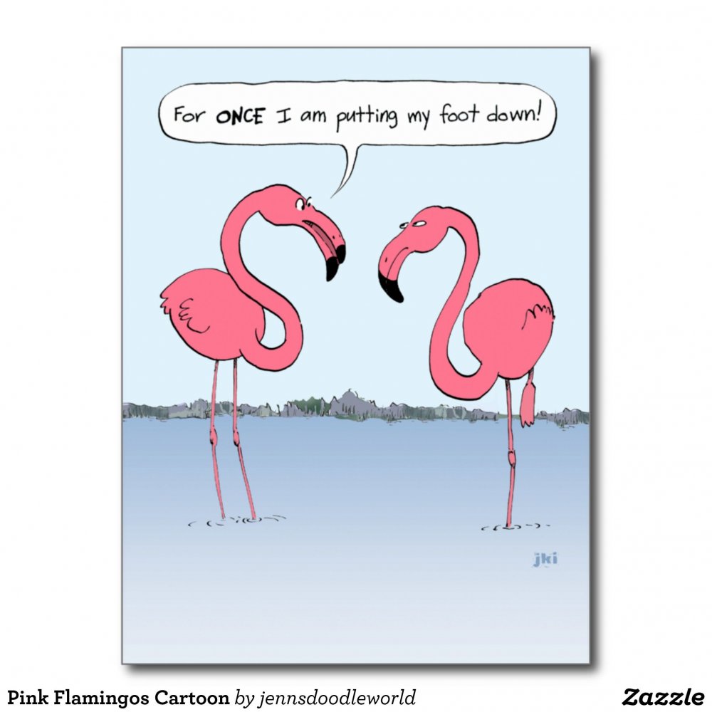 Шутки про Фламинго