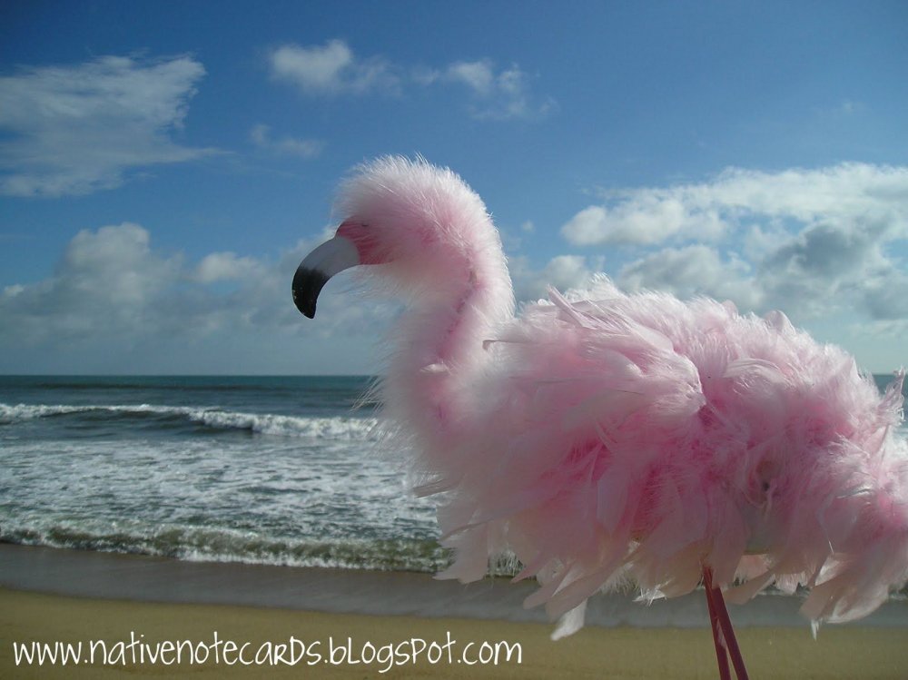 Смешной розовый Фламинго