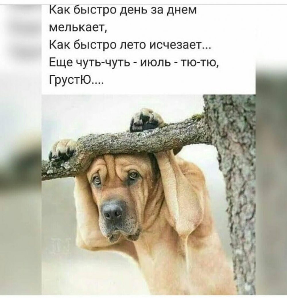 Тебе грустно и одиноко