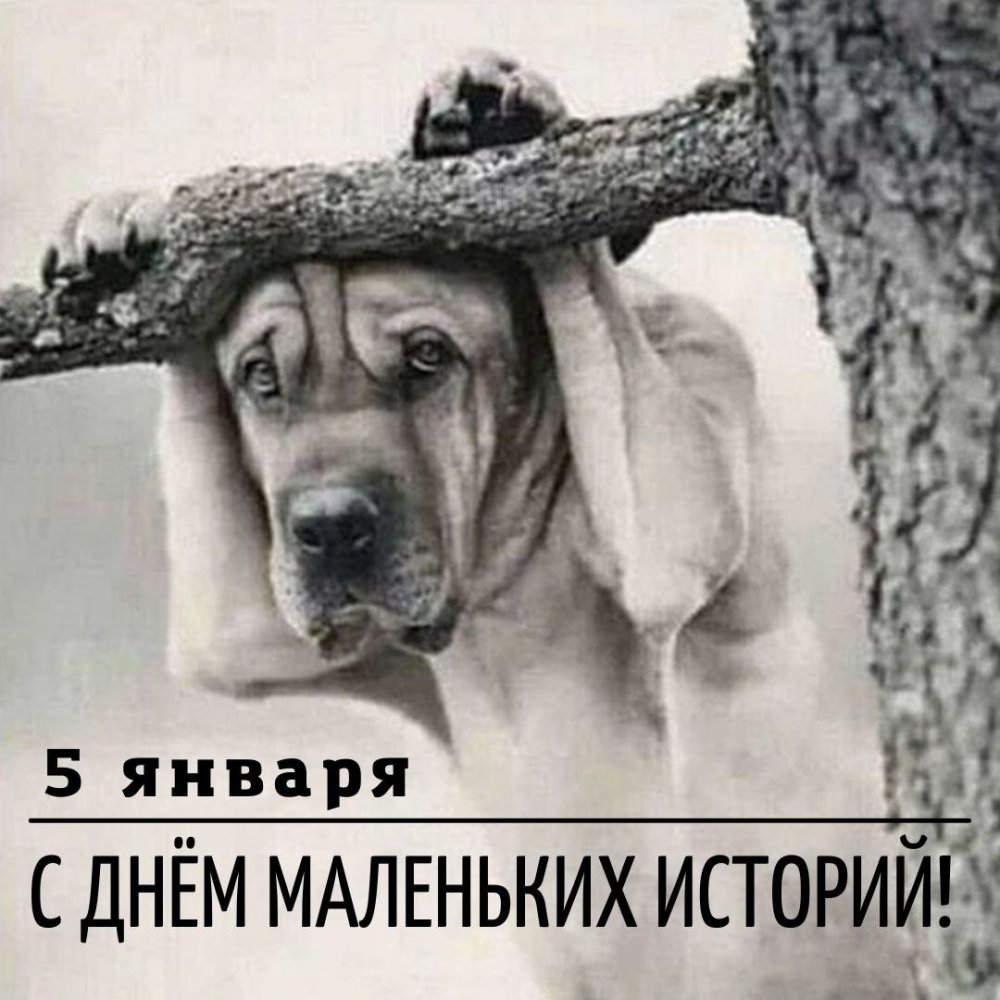 Неправильно ты дядя Федор врешь