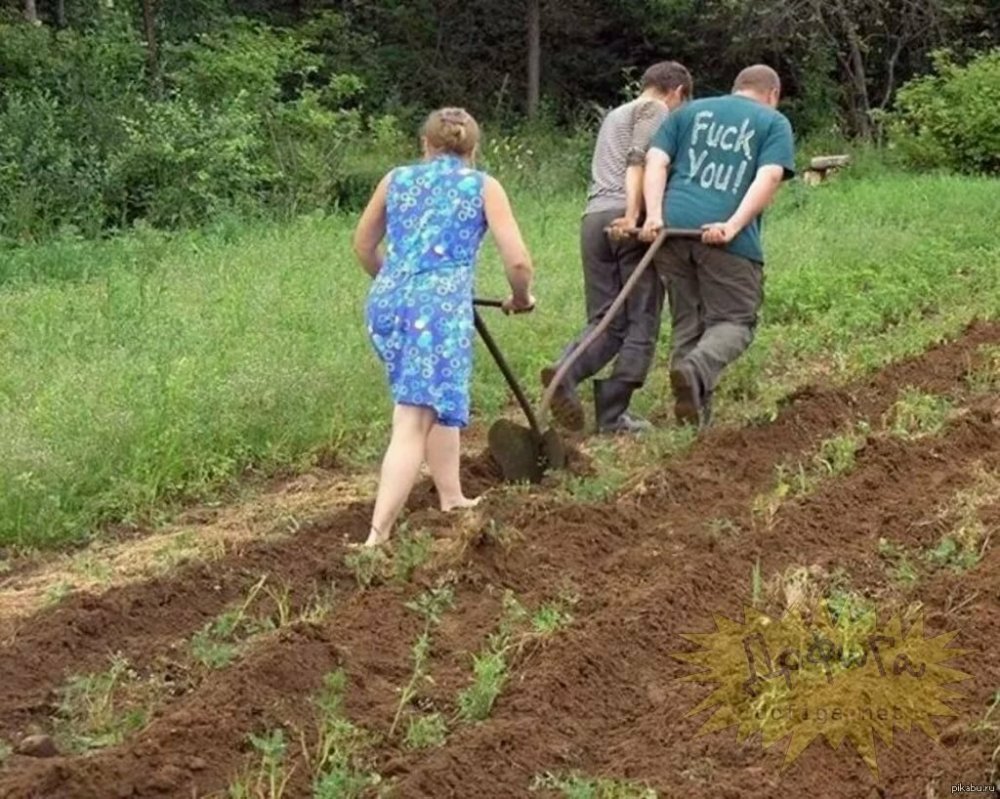 Пахать на даче