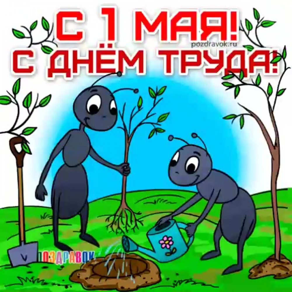 Поздравление с 1 мая смешные