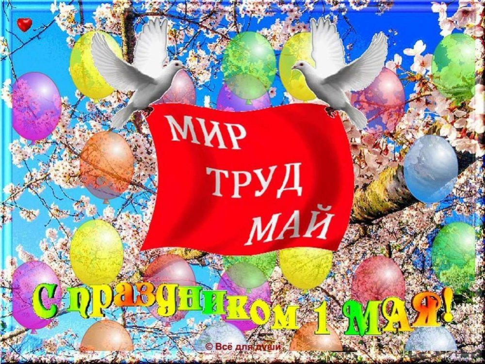 Мир труд май