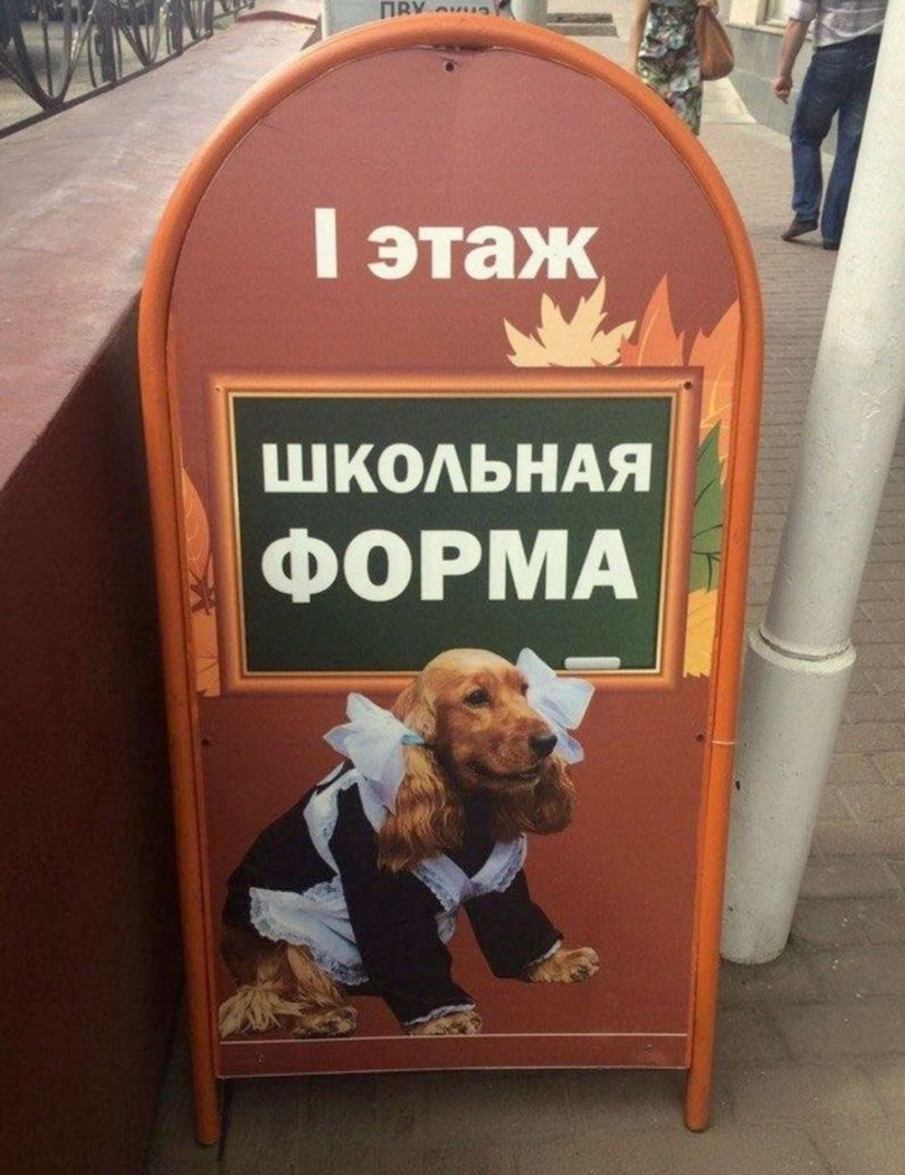 Смешные вывески и реклама