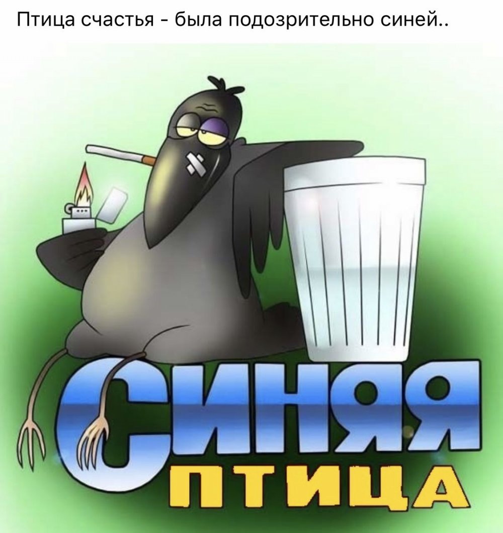 Синяя птица прикол