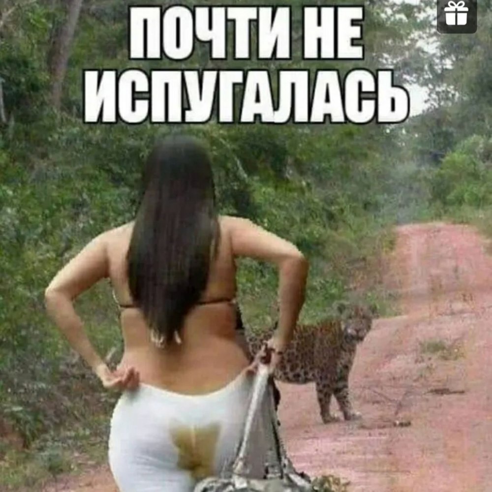 Гусь Мем