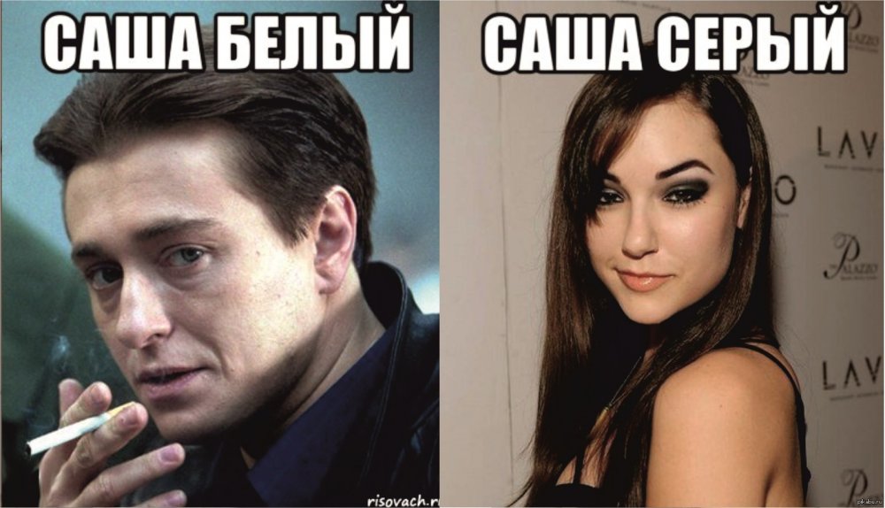 Саша черный и Саша белый