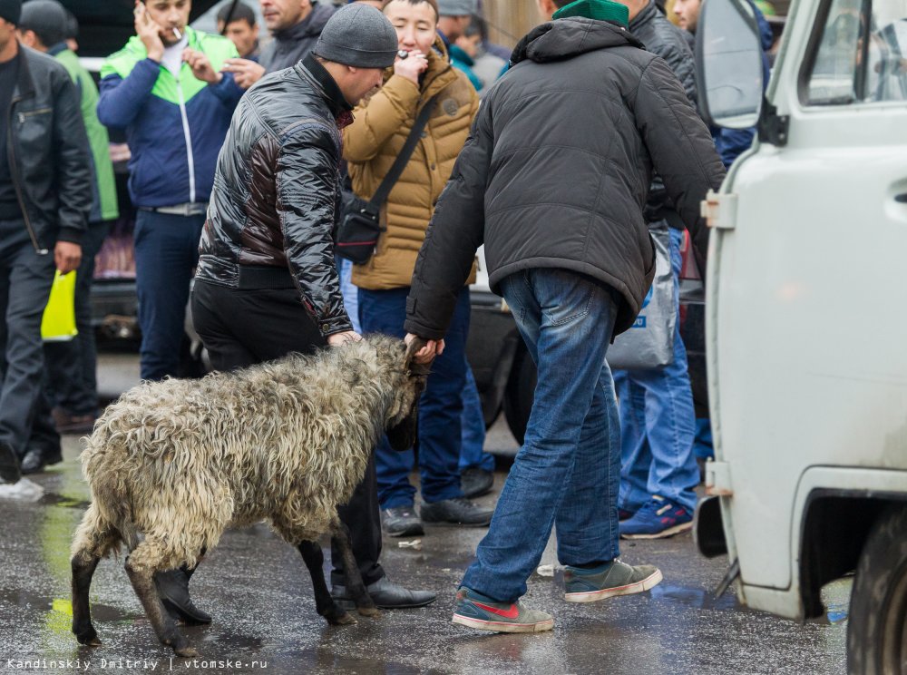 Праздник Курбан байрам в Москве