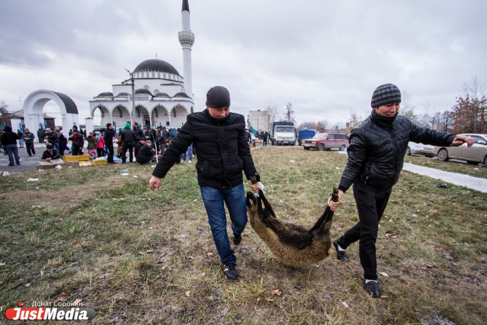 Курбан-байрам поздравления