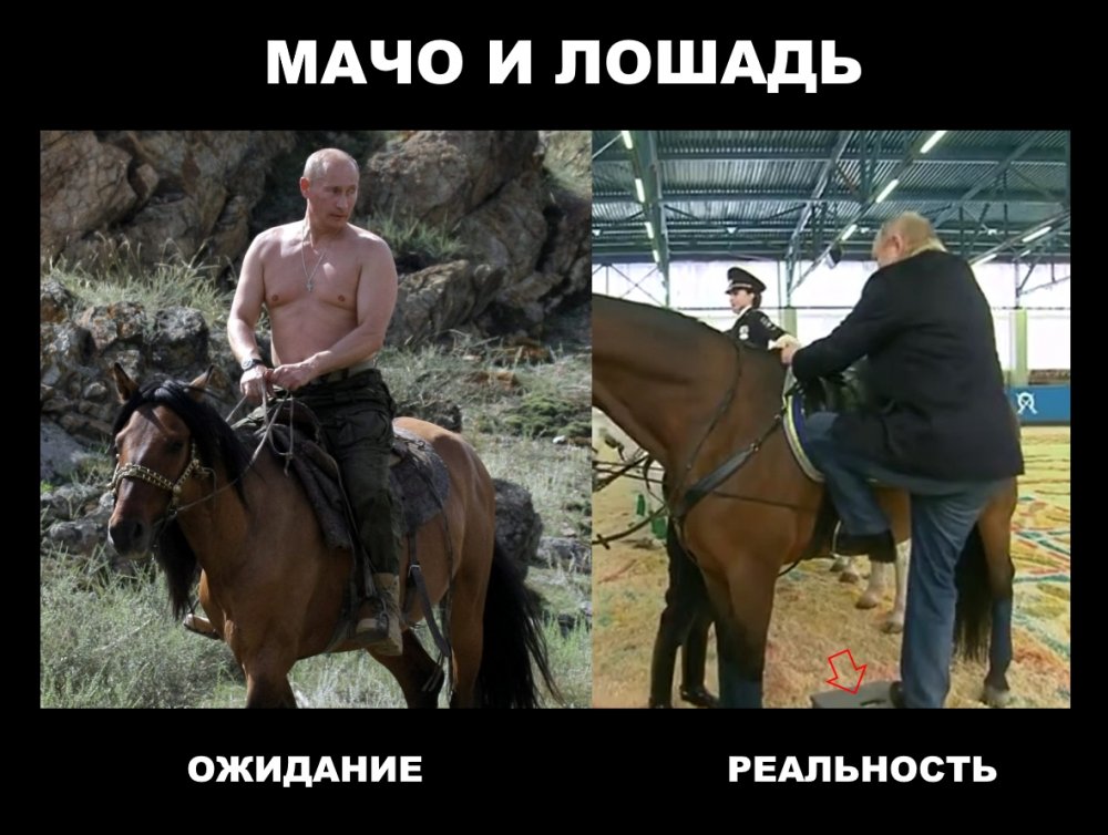 Путин на лошади