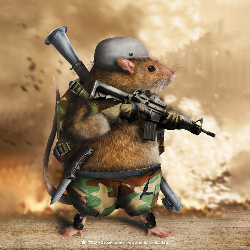 Мышь в военной форме