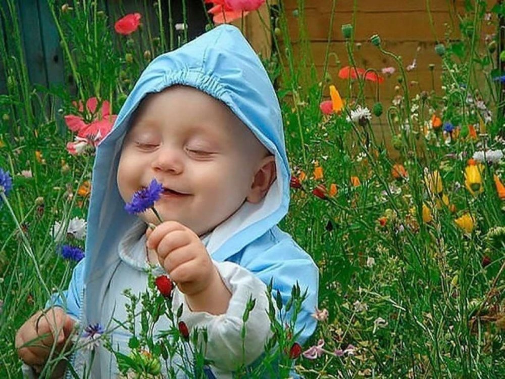 Смешные дети с цветами