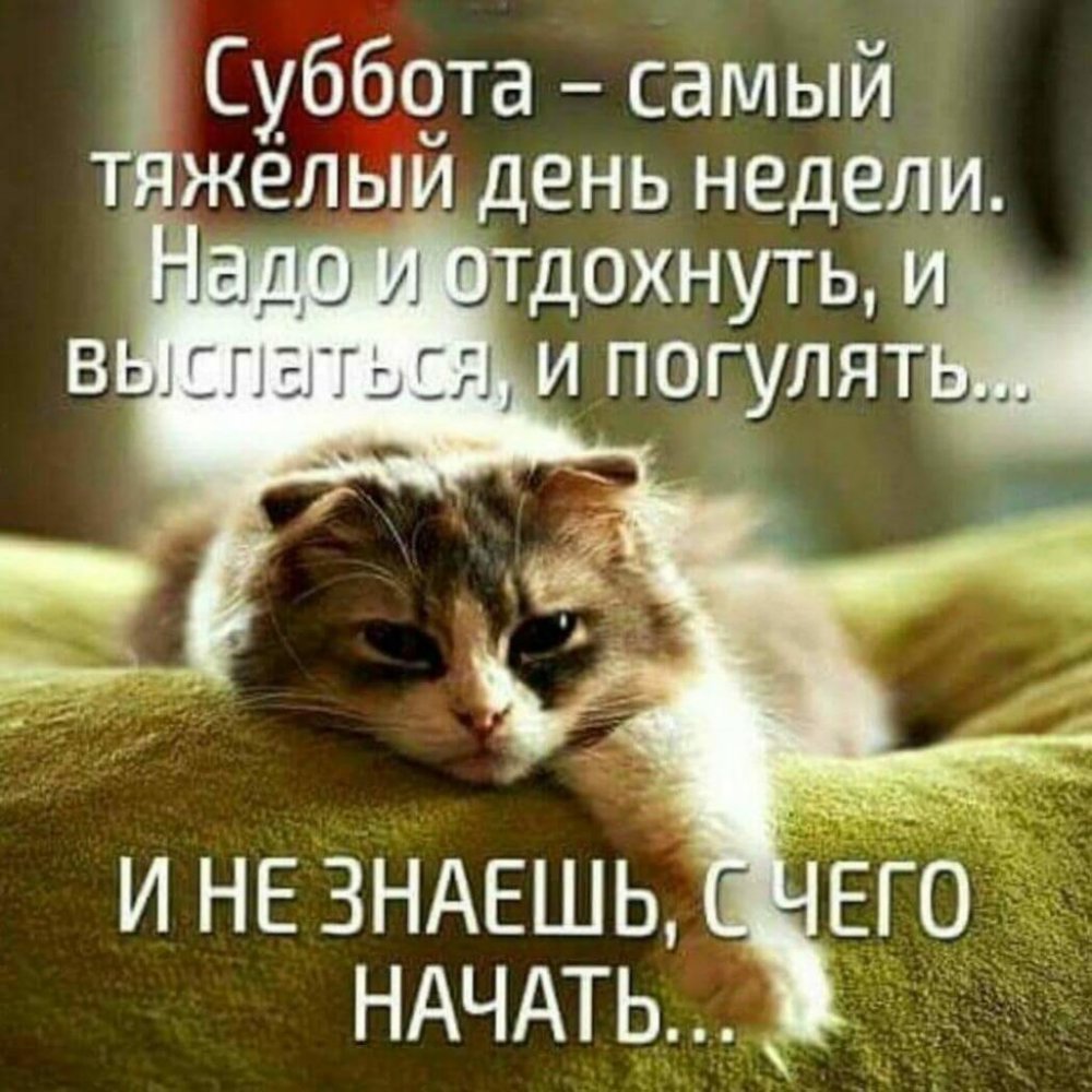 С субботой прикольные